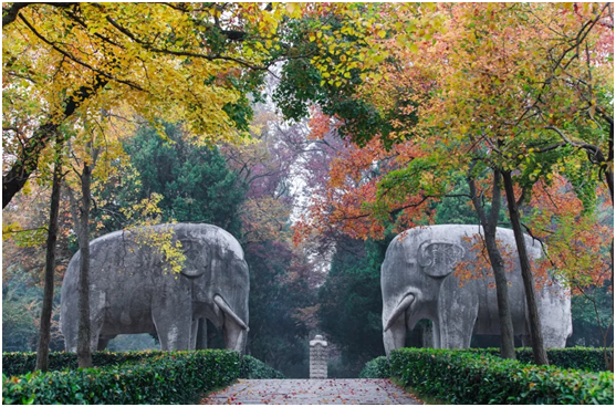 Photos of Nanjing